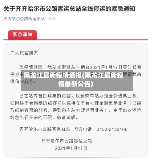 黑龙江最新疫情通报(黑龙江最新疫情最新公告)-第2张图片