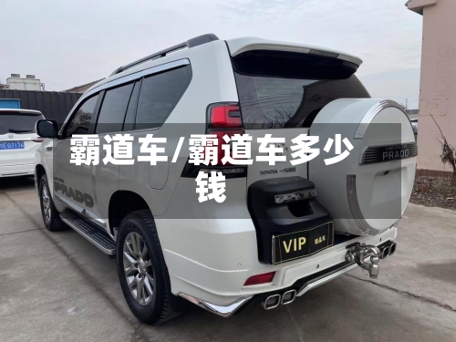 霸道车/霸道车多少钱