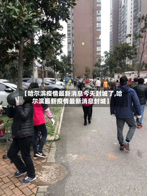 【哈尔滨疫情最新消息今天封城了,哈尔滨最新疫情最新消息封城】-第2张图片