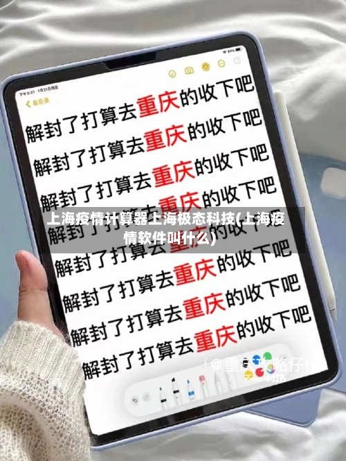 上海疫情计算器上海极态科技(上海疫情软件叫什么)-第2张图片