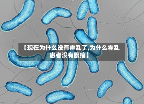 【现在为什么没有霍乱了,为什么霍乱患者没有腹痛】-第3张图片