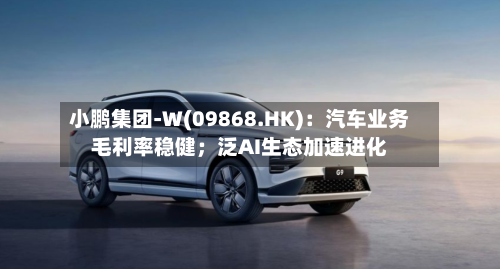 小鹏集团-W(09868.HK)：汽车业务毛利率稳健；泛AI生态加速进化-第2张图片