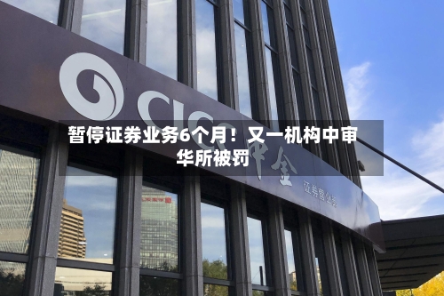 暂停证券业务6个月！又一机构中审华所被罚-第2张图片