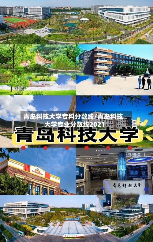 青岛科技大学专科分数线/青岛科技大学专业分数线2021-第2张图片