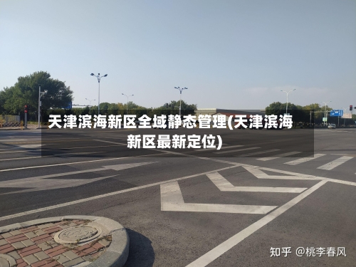 天津滨海新区全域静态管理(天津滨海新区最新定位)-第2张图片