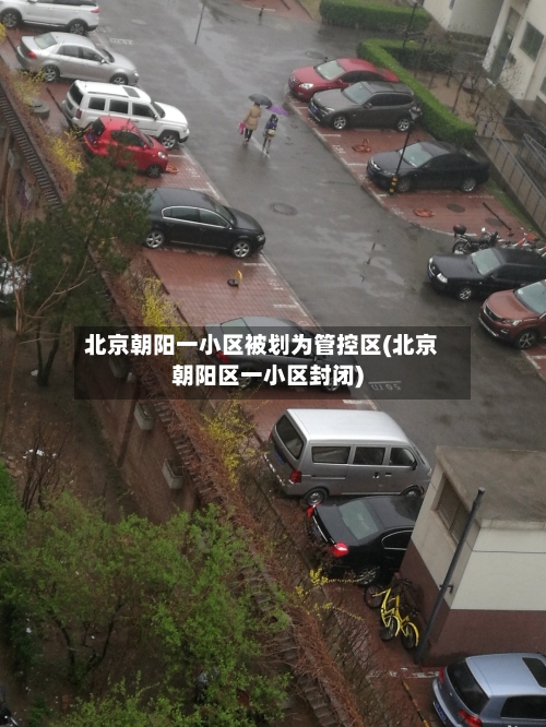 北京朝阳一小区被划为管控区(北京朝阳区一小区封闭)-第2张图片