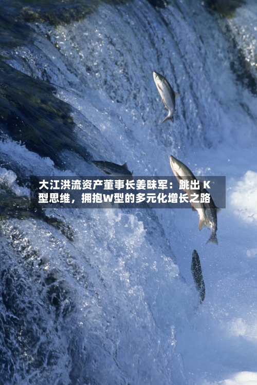 大江洪流资产董事长姜昧军：跳出 K 型思维，拥抱W型的多元化增长之路-第2张图片