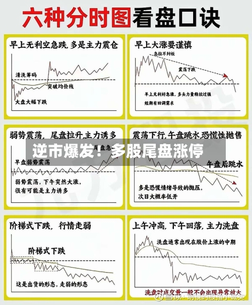 逆市爆发！多股尾盘涨停