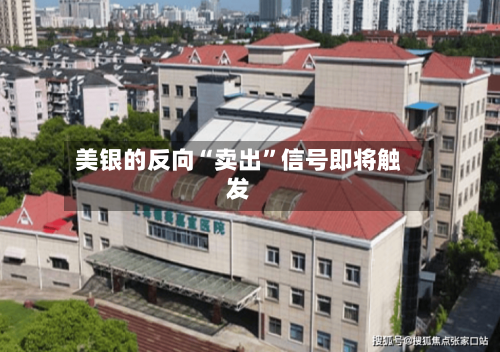 美银的反向“卖出	”信号即将触发-第2张图片