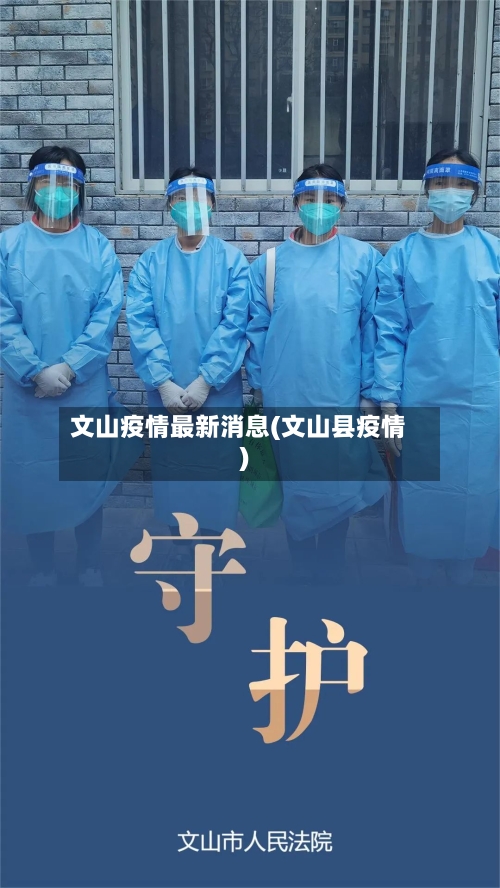 文山疫情最新消息(文山县疫情)-第2张图片