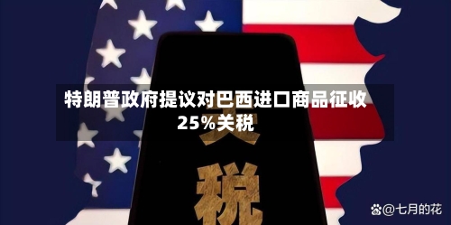 特朗普政府提议对巴西进口商品征收25%关税-第3张图片