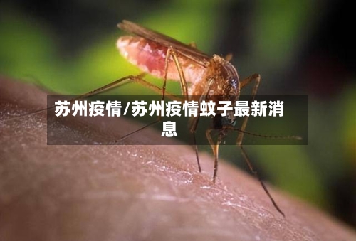 苏州疫情/苏州疫情蚊子最新消息-第2张图片