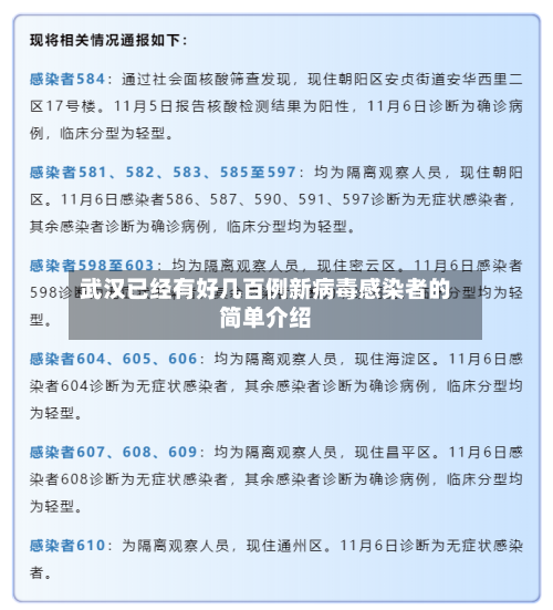 武汉已经有好几百例新病毒感染者的简单介绍-第3张图片