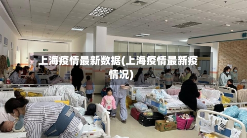 上海疫情最新数据(上海疫情最新疫情况)-第2张图片