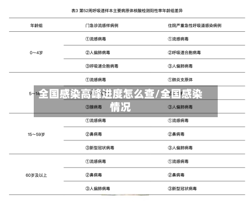 全国感染高峰进度怎么查/全国感染情况-第2张图片