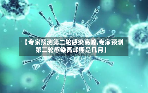 【专家预测第二轮感染高峰,专家预测第二轮感染高峰期是几月】