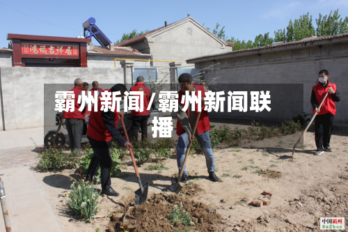 霸州新闻/霸州新闻联播