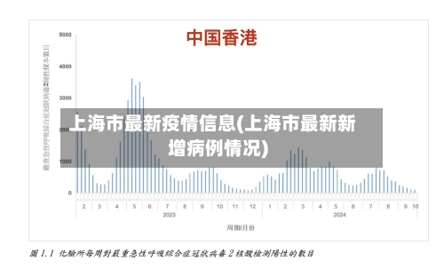 上海市最新疫情信息(上海市最新新增病例情况)-第3张图片