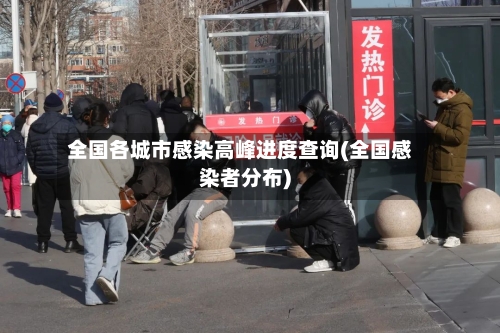 全国各城市感染高峰进度查询(全国感染者分布)-第2张图片