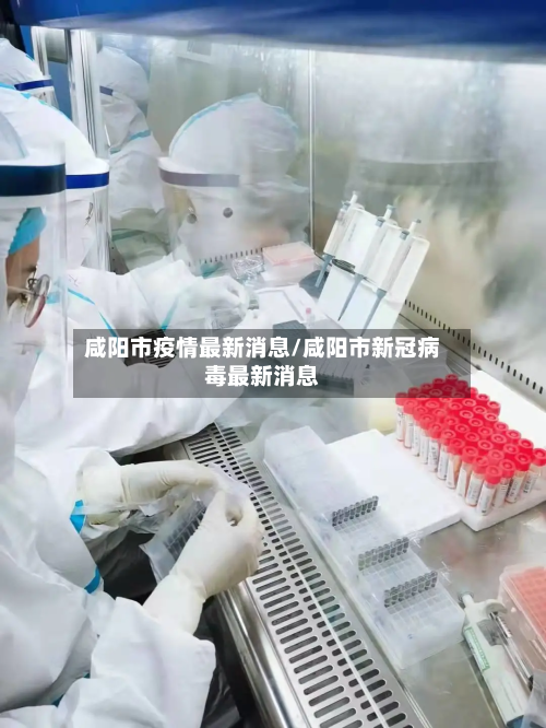 咸阳市疫情最新消息/咸阳市新冠病毒最新消息