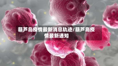 葫芦岛疫情最新消息轨迹/葫芦岛疫情最新通知-第3张图片