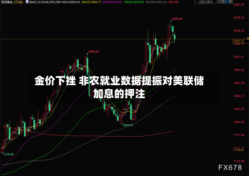 金价下挫 非农就业数据提振对美联储加息的押注-第3张图片