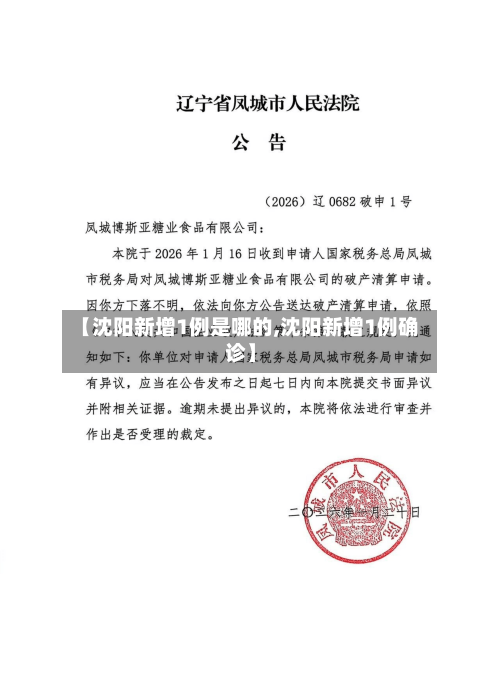 【沈阳新增1例是哪的,沈阳新增1例确诊】