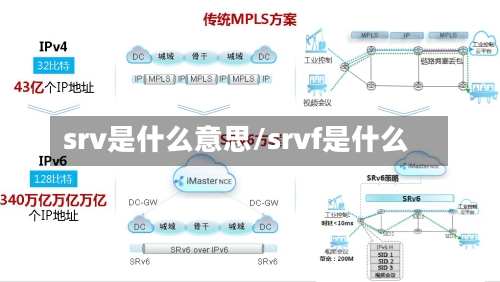 srv是什么意思/srvf是什么-第2张图片