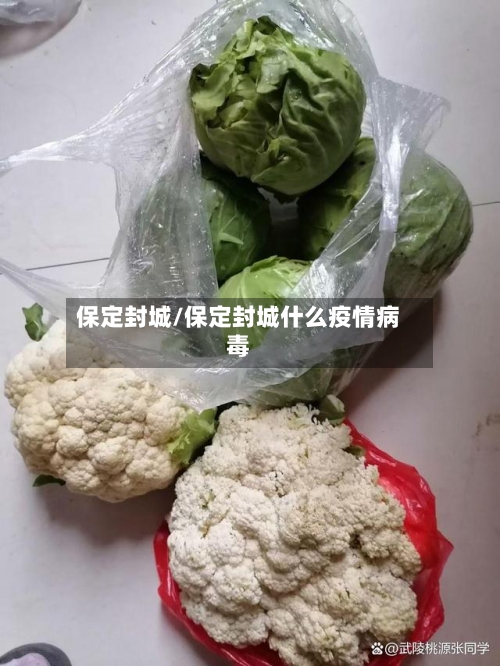 保定封城/保定封城什么疫情病毒-第2张图片