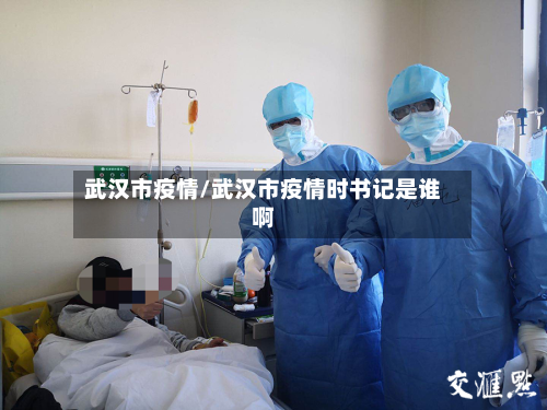 武汉市疫情/武汉市疫情时书记是谁啊