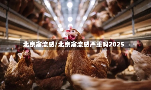 北京禽流感/北京禽流感严重吗2025-第2张图片