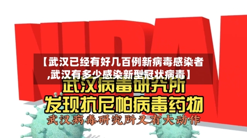 【武汉已经有好几百例新病毒感染者,武汉有多少感染新型冠状病毒】-第3张图片