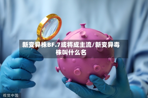 新变异株BF.7或将成主流/新变异毒株叫什么名-第2张图片
