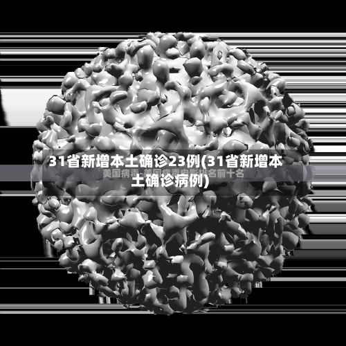 31省新增本土确诊23例(31省新增本土确诊病例)