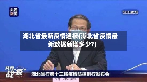 湖北省最新疫情通报(湖北省疫情最新数据新增多少?)-第2张图片
