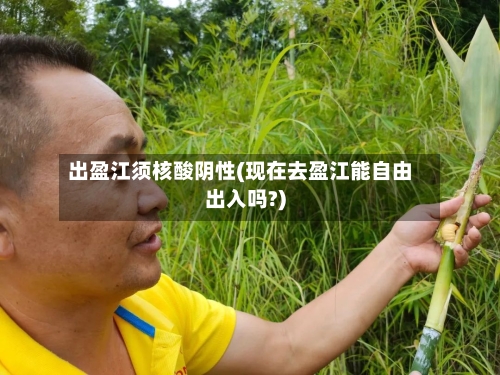 出盈江须核酸阴性(现在去盈江能自由出入吗?)-第2张图片