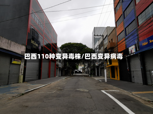 巴西110种变异毒株/巴西变异病毒-第2张图片
