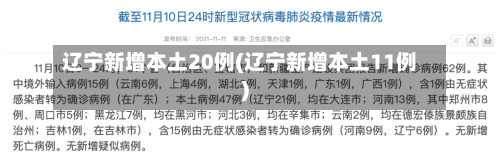 辽宁新增本土20例(辽宁新增本土11例)-第2张图片