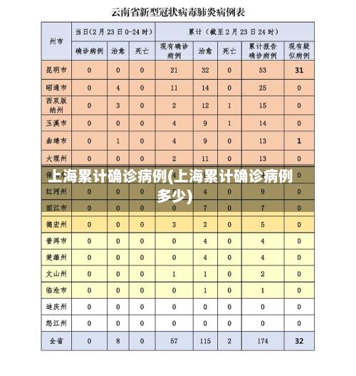 上海累计确诊病例(上海累计确诊病例多少)-第2张图片