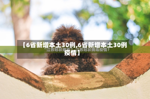 【6省新增本土30例,6省新增本土30例疫情】