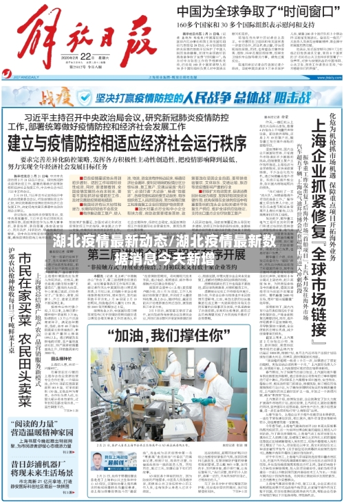 湖北疫情最新动态/湖北疫情最新数据消息今天新增