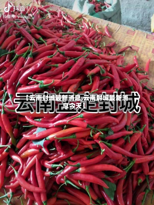 【云南封城最新消息,云南封城最新消息今天】