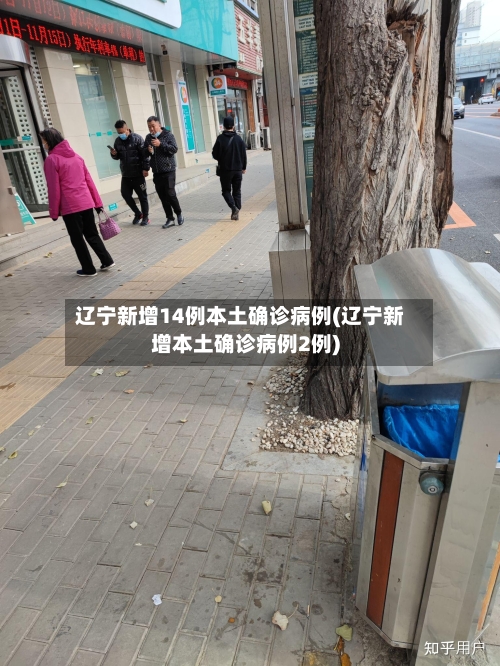 辽宁新增14例本土确诊病例(辽宁新增本土确诊病例2例)