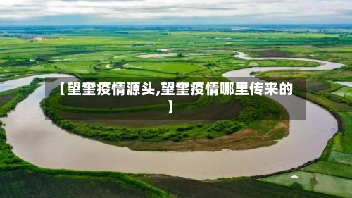 【望奎疫情源头,望奎疫情哪里传来的】-第2张图片