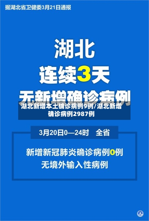 湖北新增本土确诊病例9例/湖北新增确诊病例2987例-第2张图片