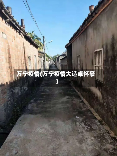 万宁疫情(万宁疫情大造卓怀豪)-第2张图片