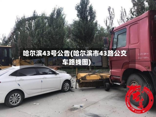 哈尔滨43号公告(哈尔滨市43路公交车路线图)-第2张图片