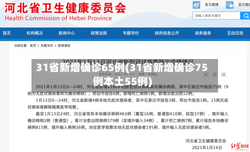 31省新增确诊65例(31省新增确诊75例本土55例)