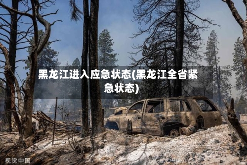 黑龙江进入应急状态(黑龙江全省紧急状态)-第3张图片