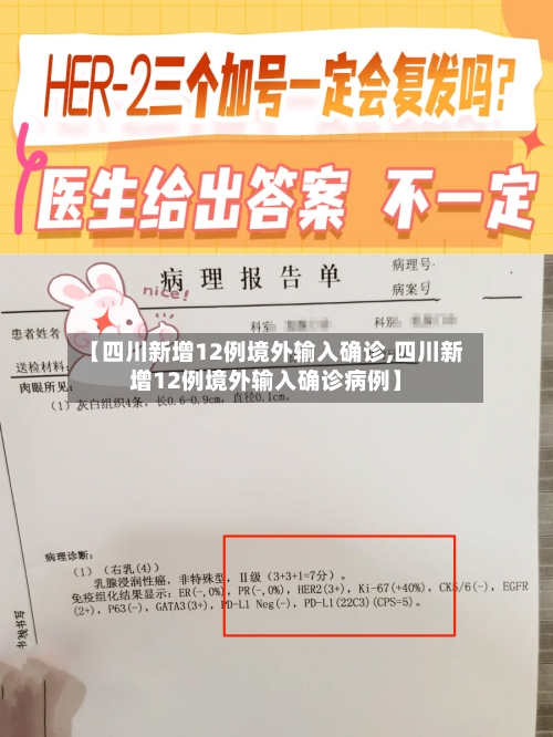 【四川新增12例境外输入确诊,四川新增12例境外输入确诊病例】-第2张图片